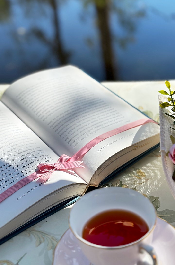 French Vacation Follies Grosgrain Choker (Pink) - Kitten D'Amour