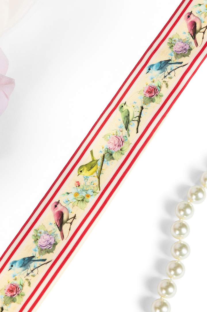 Birdsong Follies Elastic Belt