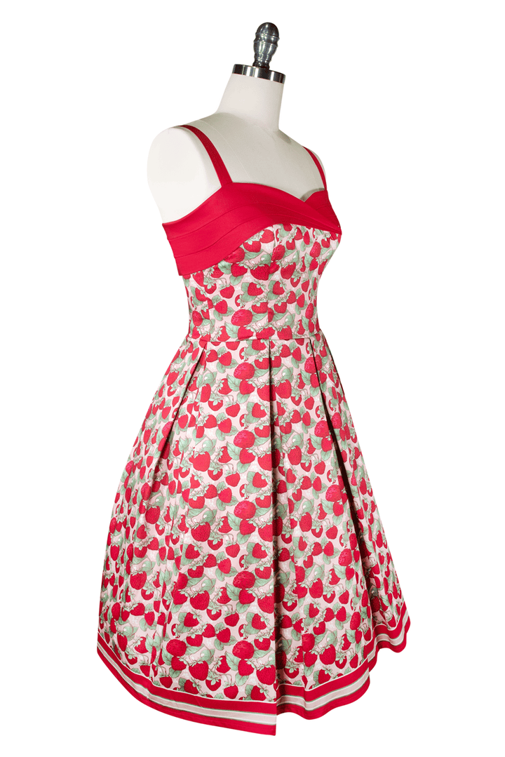 Miss Strawberry Pageant Queen Dress