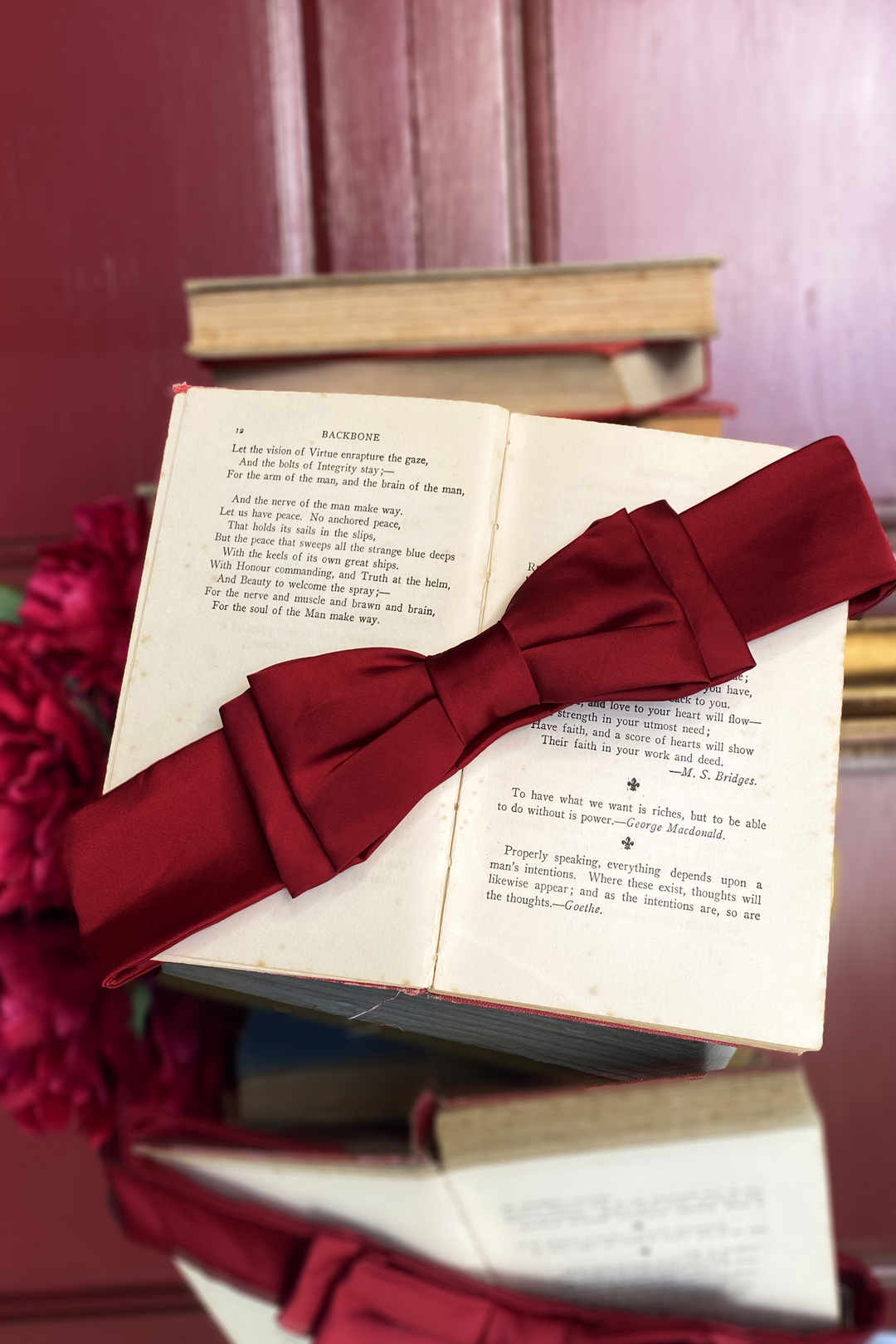 D'Amour Petite Bow Belt (Burgundy) - Kitten D'Amour