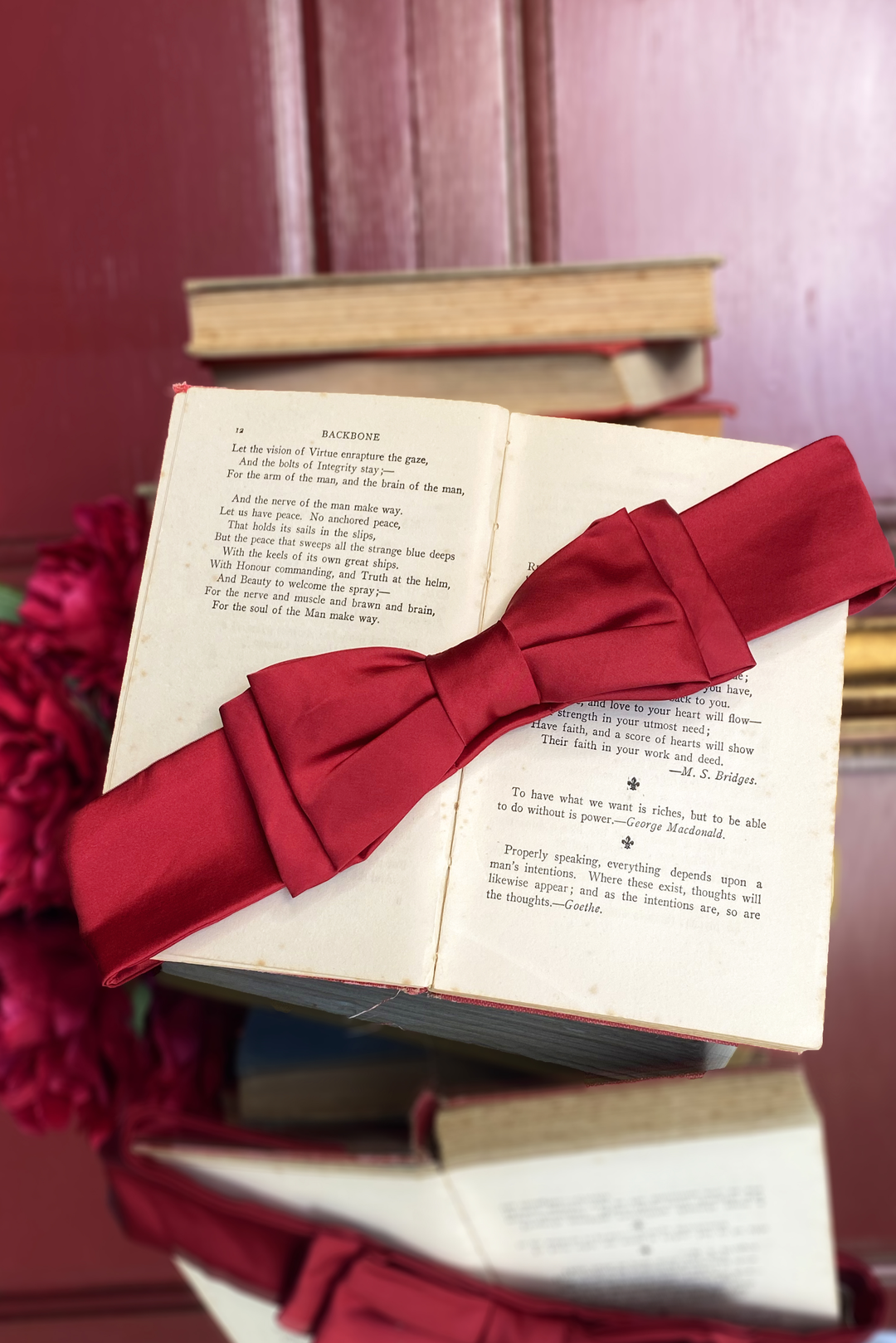 D'Amour Follies Petite Bow Belt (Red)