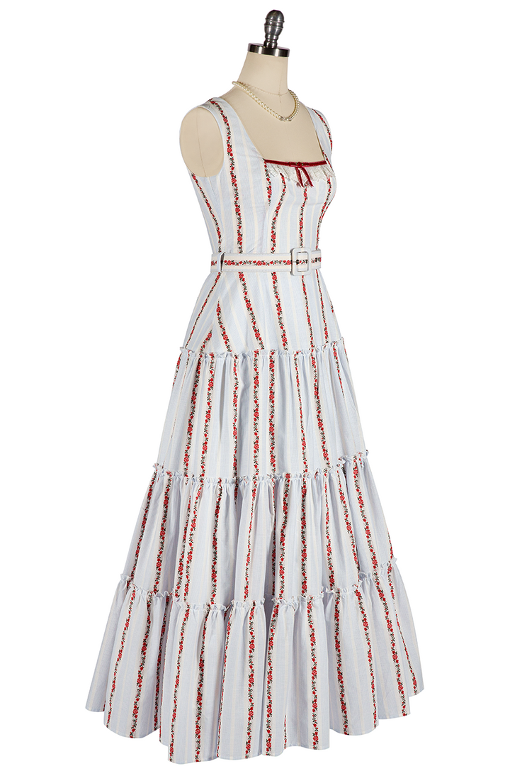 Joie De Vivre Maxi Dress