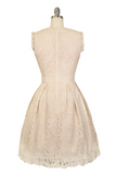 Lovey Dovey Lace Dress (Beige)